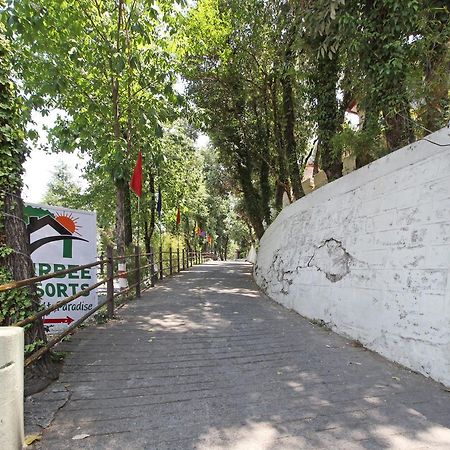 Oyo 5248 Surbee Resorts Mussoorie Extérieur photo